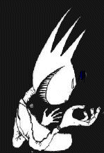 Primitve Reason Logo